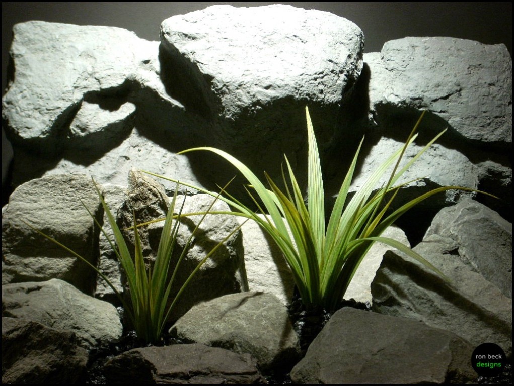 Silk Aquarium Plants Silk Reptile Plants Palm Leaves From Ron Beck