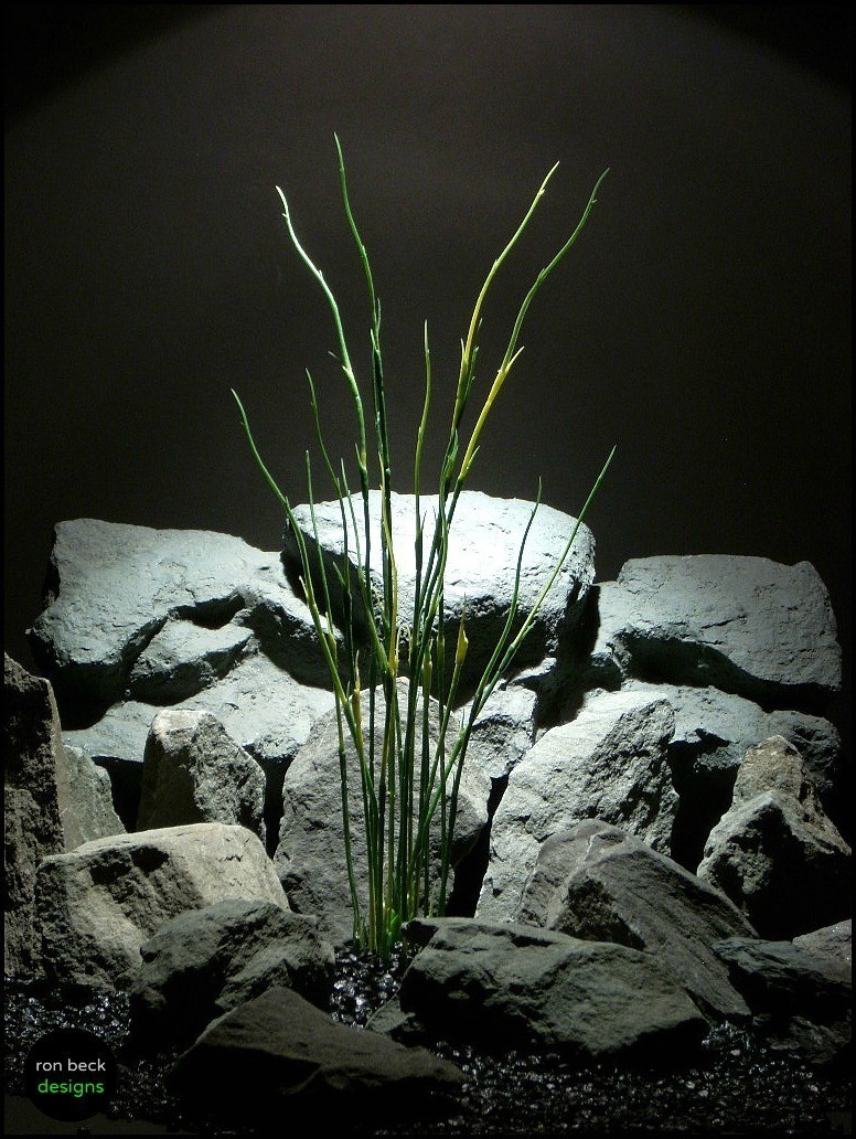 artificial aquarium plants high reeds pap140 from ron beck designs