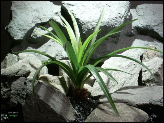 silk reptile plant spider plant with fir bark trunk from ron beck designs