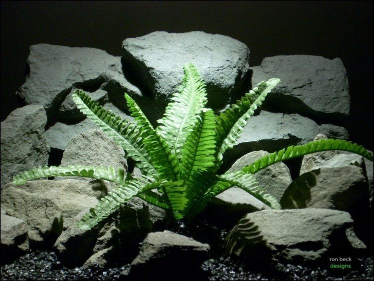 silk reptile plant boston fern srp146 from ron beck designs