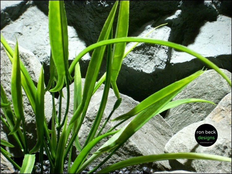 plastic aquarium plant arrowhead grass pap148 from ron beck designs close up 1024 768