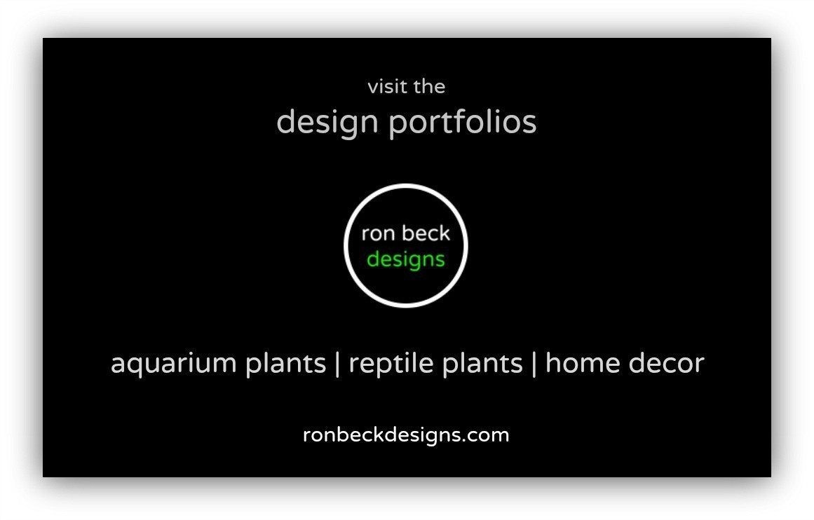 design portfolios of ron beck designs | ronbeckdesigns.com