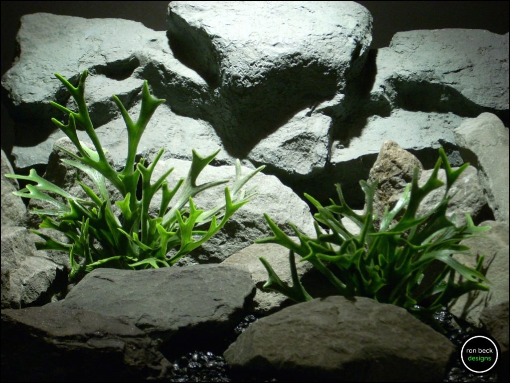 Silk Aquarium Plants Or Silk Reptile Plants Variegated Leaves.