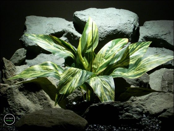 silk aquarium plant or silk reptile plant: dracaena leaves sarp159 from ron beck designs.