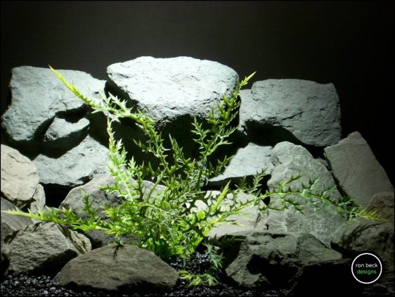 plastic aquarium plant dragons breath fern pap167 from ron beck designs