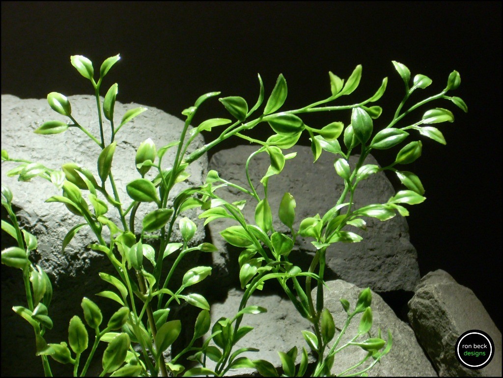 plastic aquarium plant tea leaf bush. pap165 from ron beck dedsigns 2