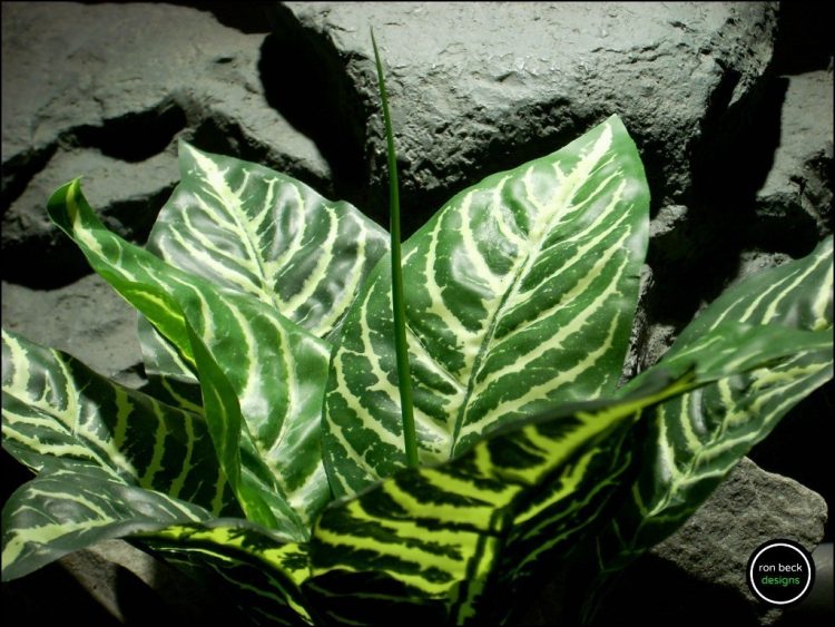 silk reptile plant zebra leaves real touch leaves from ron beck designs