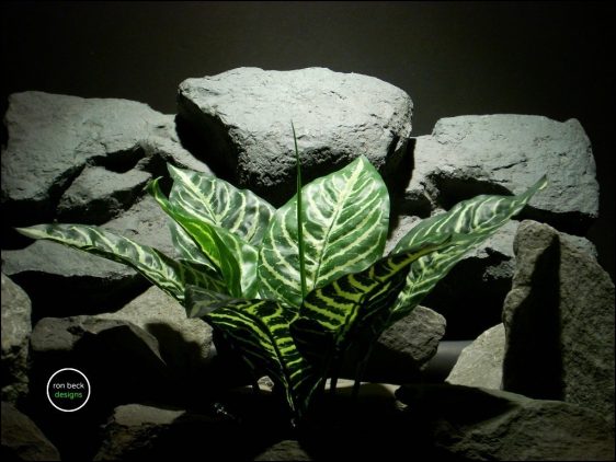 silk reptile plant zebra plant real touch srp163 from ron beck designs