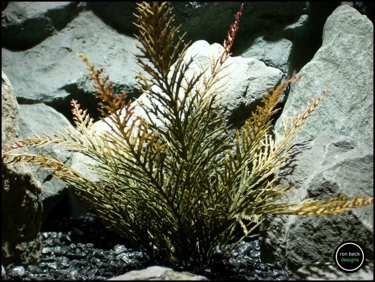 plastic aquarium plant spiked fern 2 pap178 from ron beck designs