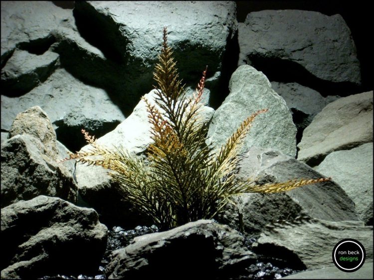 plastic aquarium plant spiked fern pap178 from ron beck designs