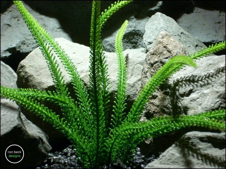plastic aquarium plant tail grass pap176 from ron beck designs 2