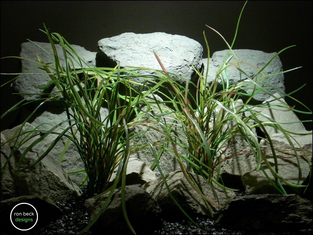 plastic aquarium plants pearl grass from ron beck designs