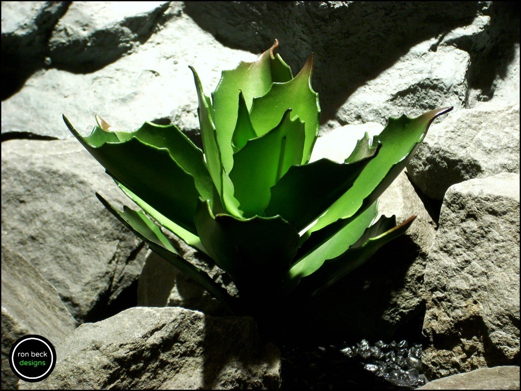 reptile plant: echeveria succulent 2. prp170 from ron beck designs