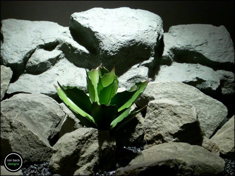 reptile plant echeveria succulent prp170 from ron beck designs