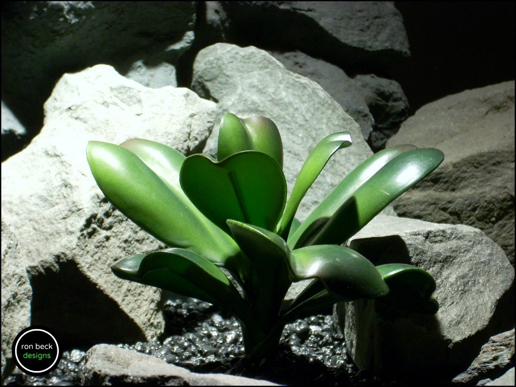 silk reptile plant green echeveria succulent 2, prp177 from ron beck designs