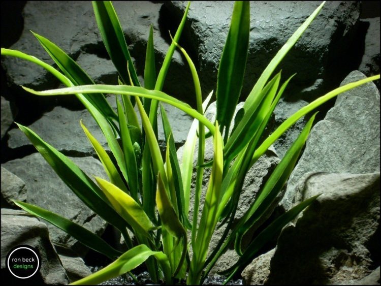 plastic aquarium plant arrowhead grass from ron beck designs. 2 pap181