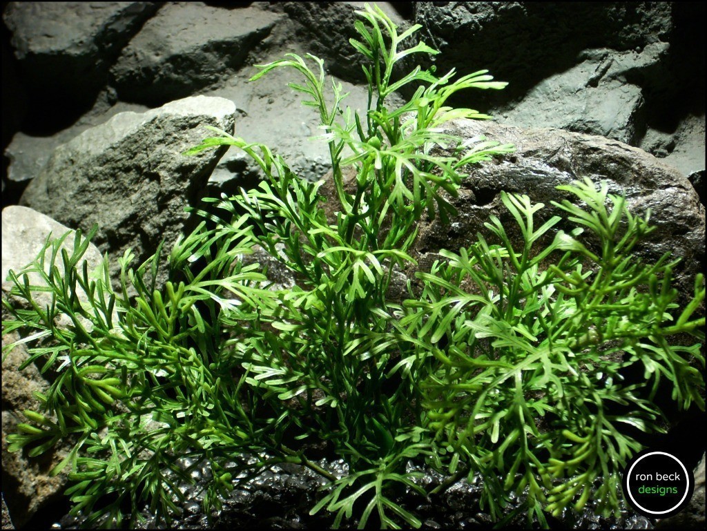 plastic aquarium plant dill bush 2. pap183 from ron beck designs