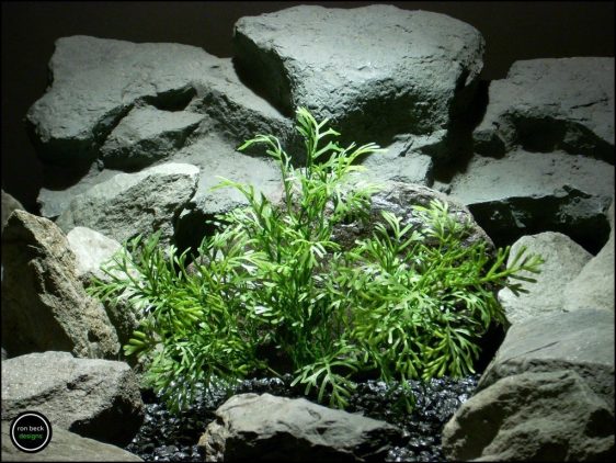 plastic aquarium plant dill bush pap183 from ron beck designs