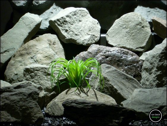 plastic reptile plant mini air plant green from ron beck designs, prp188
