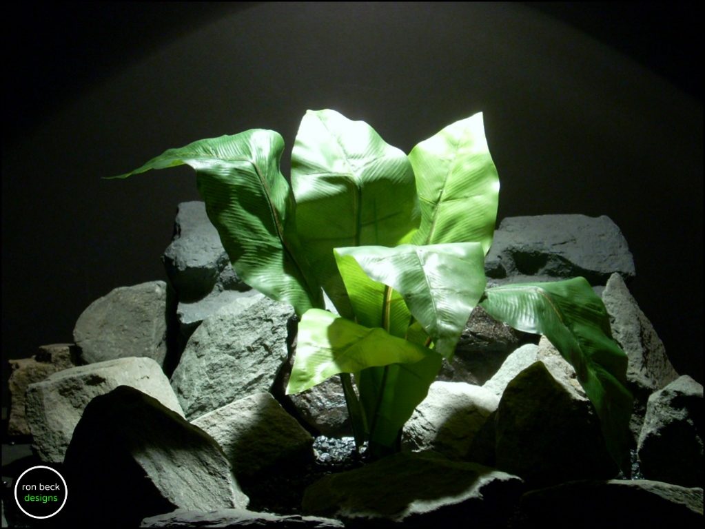 silk reptile plant birds nest fern from ron beck designs. srp184