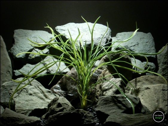 artificial aquarium plant pearl grass from ron beck designs. pap195 greens