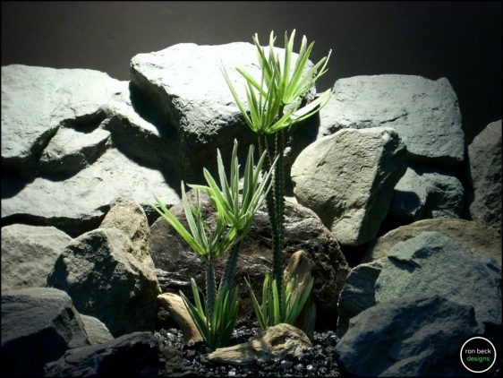 faux reptile terrarium plant cactus with driftwood from ron beck designs. prp198