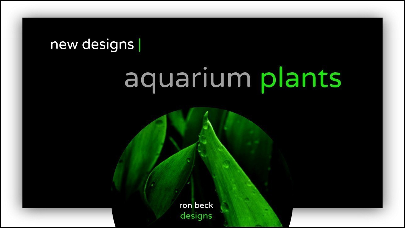 new aquarium plant designs youtube update | ron beck designs