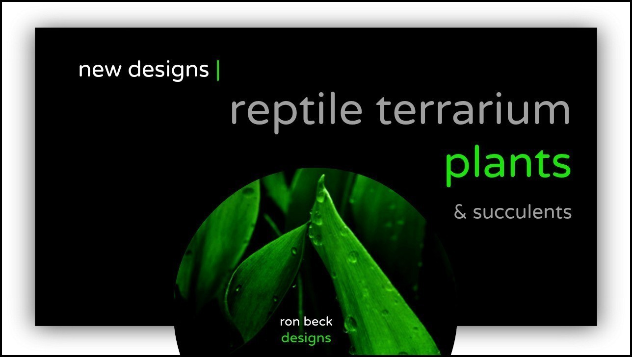 new reptile terrarium plant designs | ron beck designs