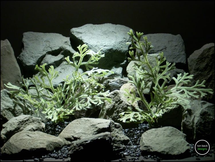 plastic reptile terrarium plants spike moss bush from ron beck designs. prp202