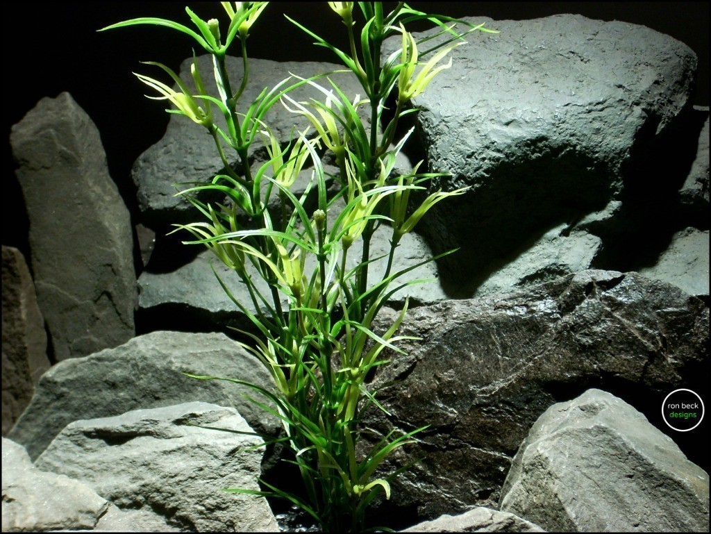 faux aquarium plant asparagus bush varegated pap246 2