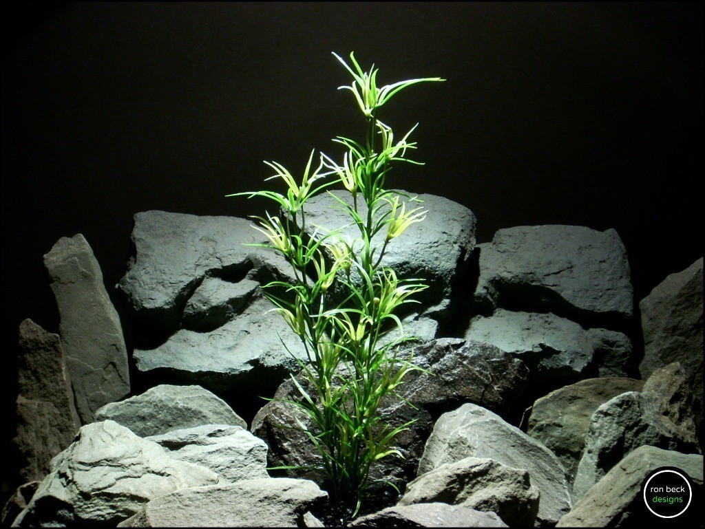 faux aquarium plant asparagus bush varegated pap246
