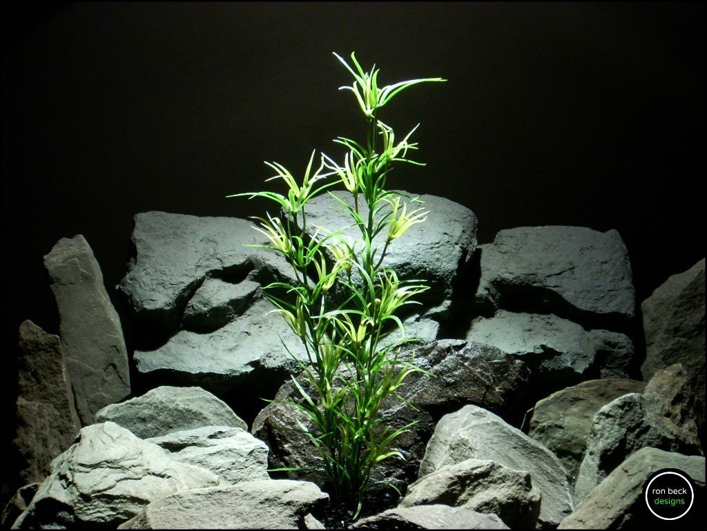 faux aquarium plant asparagus varegated prp206