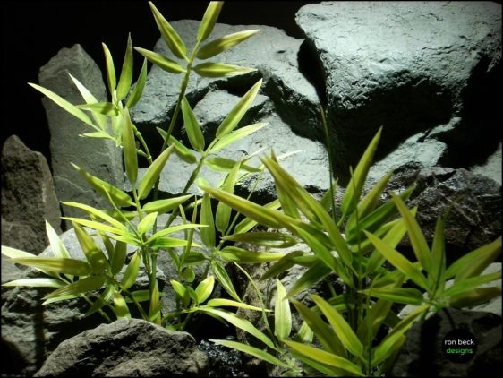 plastic aquarium plants Variegated Bamboo from ron beck designs, pap209 3
