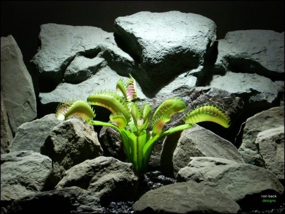 plastic reptile terrarium plant - venus flytrap from ron beck designs, prp210