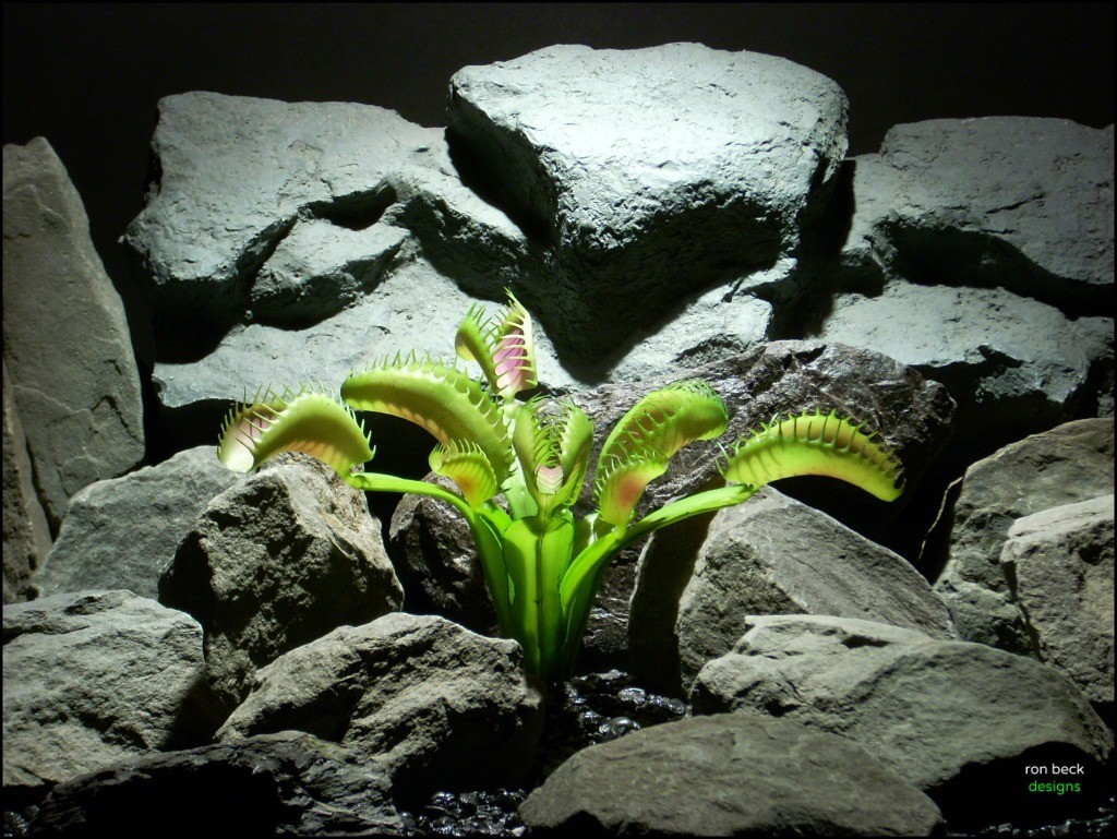 plastic reptile terrarium plant venus flytrap from ron beck designs, prp212