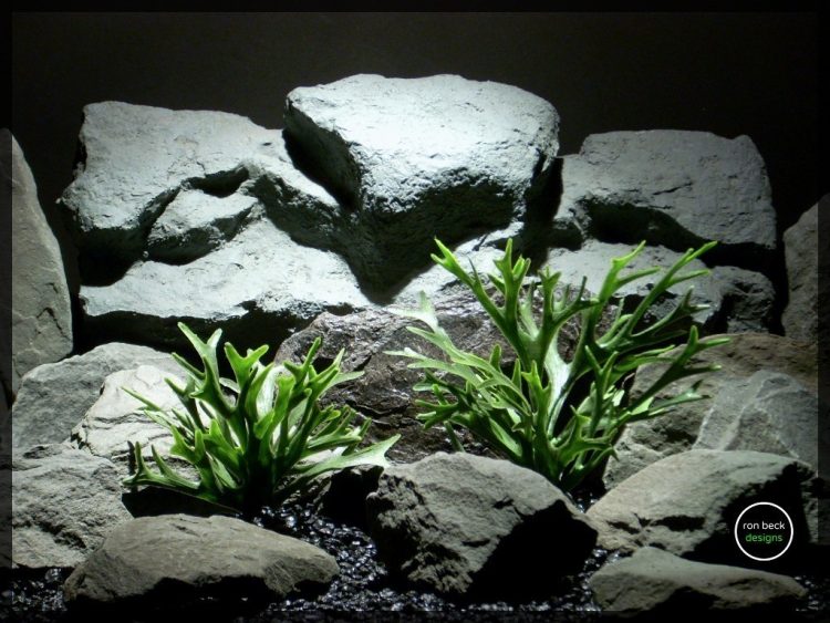 plastic aquarium plants_ staghorn ferns from ron beck designs pap213