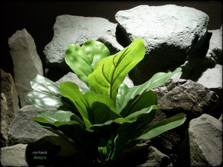 silk reptile terrarium plant fiddle leaf bush ron beck designs srp214 2
