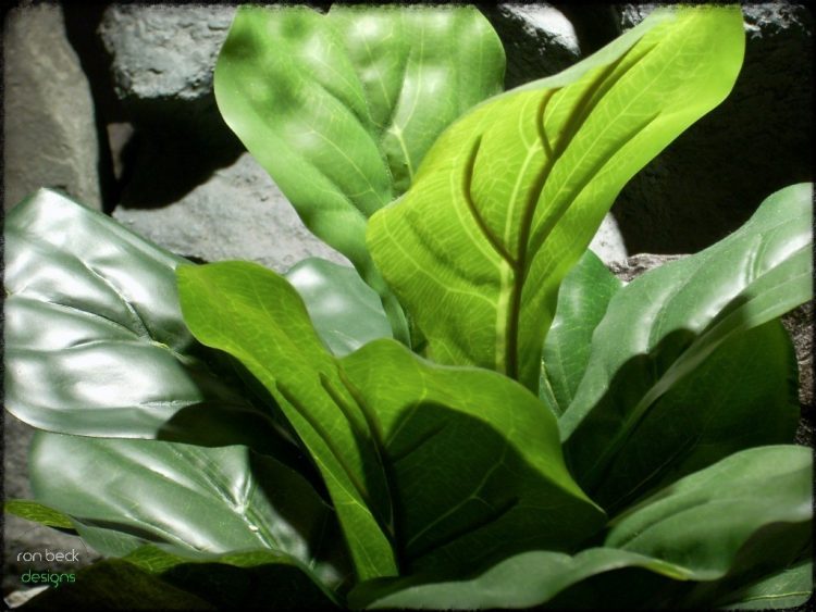 silk reptile terrarium plant fiddle leaf bush ron beck designs srp214 3