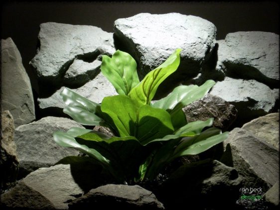silk reptile terrarium plant fiddle leaf bush ron beck designs srp214