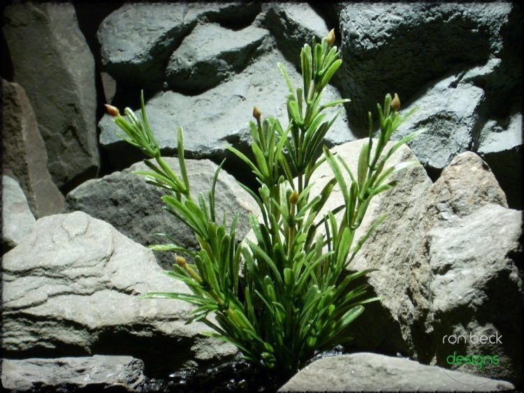 plastic aquarium plant juniper bush from ron beck designs. pap217 2