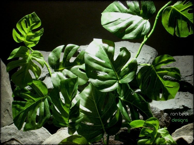 silk reptile plant- monstera leaves from ron beck designs. srp216 2