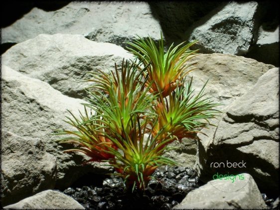 artificial reptile plants: succulent red and green from ron beck designs prs219 2