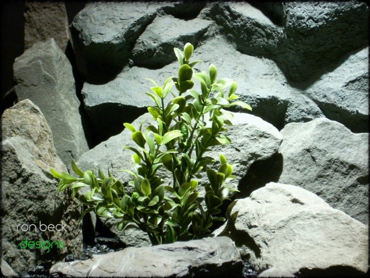 plastic aquarium plants: artificial boxwood bushes from ron beck designs. pap2212