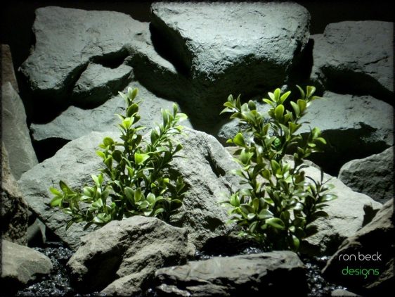 plastic aquarium plants: artificial boxwood bushes from ron beck designs. pap221