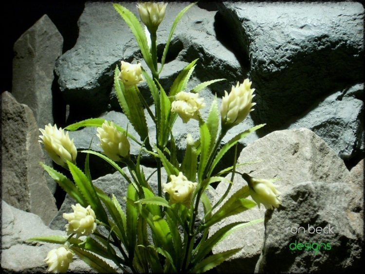plastic aquarium plants: protea plant from ron beck designs pap220 2