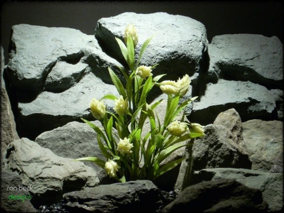 plastic aquarium plants: protea plant from ron beck designs pap220