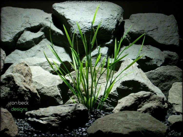 aquarium plant: bamboo shoots from ron beck designs. pap225