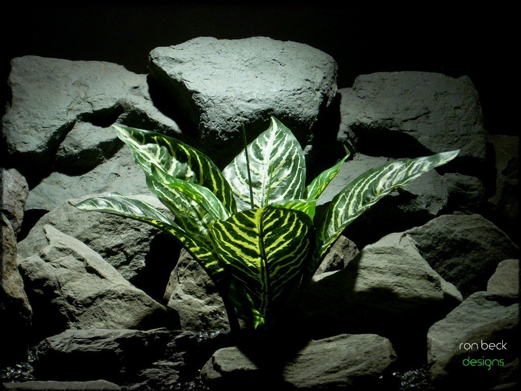 custom order silk reptile plant zebra plant real touch from ron beck designs 1