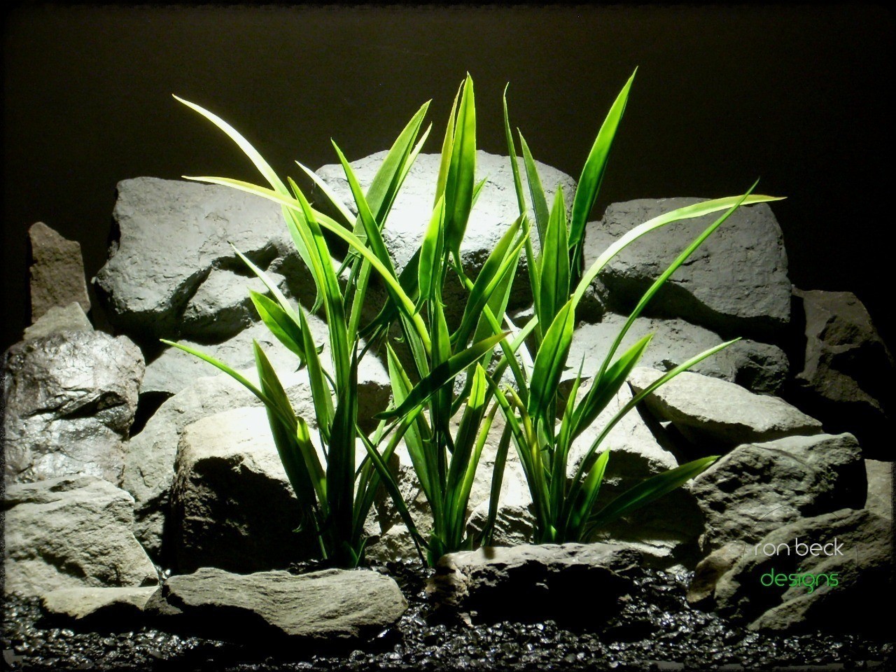artificial aquarium plants: arrowhead grass plot from ron beck designs, 04 2018