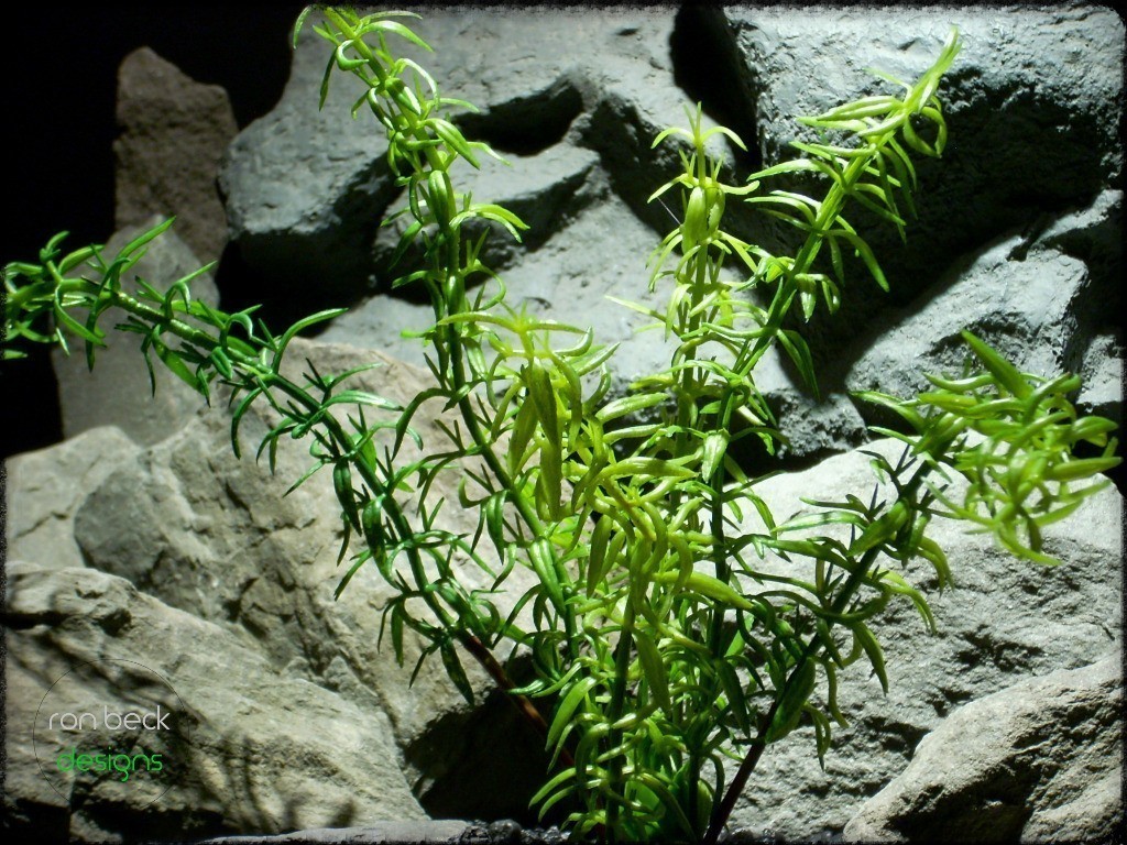 artificial reptile plant | artificial rosemary bush - ron beck designs. prp226 2